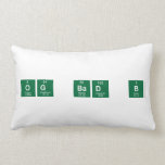 og bad b  Pillows (Lumbar)