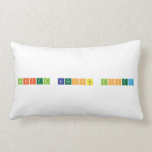 Gabriel BEsmonte Lopez  Pillows (Lumbar)