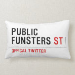 public funsters  Pillows (Lumbar)