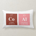 coal  Pillows (Lumbar)