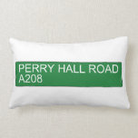 Perry Hall Road A208  Pillows (Lumbar)