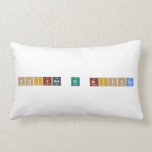 Shivam kr mishra  Pillows (Lumbar)