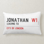 Jonathan   Pillows (Lumbar)