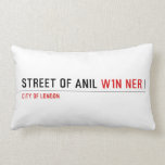 Street of anil  Pillows (Lumbar)