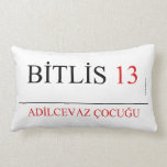 BİTLİS  Pillows (Lumbar)