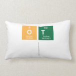 Ot   Pillows (Lumbar)