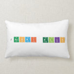 jachai ellis  Pillows (Lumbar)