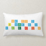 Ha pp y
 b irthd A y
 A L e x i s  Pillows (Lumbar)