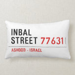 Inbal Street  Pillows (Lumbar)