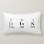 Think  Pillows (Lumbar)