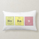 noran   Pillows (Lumbar)