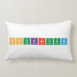 shukaruuni  Pillows (Lumbar)