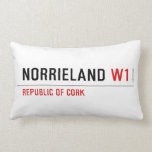 NORRIELAND  Pillows (Lumbar)
