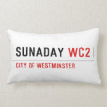sunaday  Pillows (Lumbar)