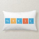 Tahmid  Pillows (Lumbar)