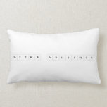 Tayyab production  Pillows (Lumbar)