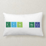 Evin hoca   Pillows (Lumbar)