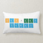 Sanjeev
 Yadav  Pillows (Lumbar)