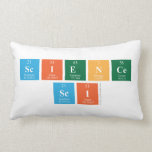 science
 sci  Pillows (Lumbar)