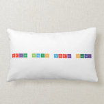 Herkes birgun fenerli olacak  Pillows (Lumbar)
