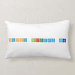 happy birthday tara  Pillows (Lumbar)