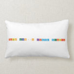 Figen Hocanın kimya defteri  Pillows (Lumbar)
