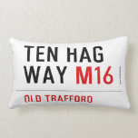 Ten HAG way  Pillows (Lumbar)
