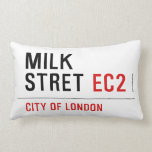 Milk  Stret  Pillows (Lumbar)