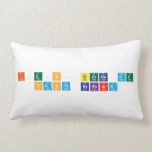 i.e.s. Sierra de 
 Santa barbara  Pillows (Lumbar)