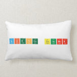 Science teacher  Pillows (Lumbar)