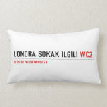 LONDRA SOKAK İLGİLİ  Pillows (Lumbar)