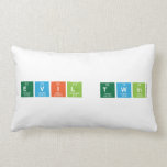 Evil Twin  Pillows (Lumbar)