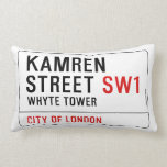 Kamren  Street  Pillows (Lumbar)