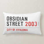 Obsidian Street  Pillows (Lumbar)