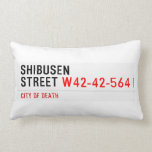 shibusen street  Pillows (Lumbar)