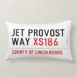 Jet Provost Way  Pillows (Lumbar)