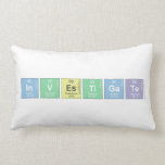 Investigate  Pillows (Lumbar)