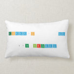 TODAY'S      MY   17th BIRTHDAY  Pillows (Lumbar)
