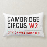 Cambridge Circus  Pillows (Lumbar)