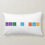 like a boss  Pillows (Lumbar)