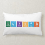 Prakhyat  Pillows (Lumbar)