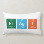 Pragi  Pillows (Lumbar)