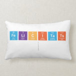 FELICITATS
   Pillows (Lumbar)