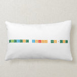 Element Research Project  Pillows (Lumbar)