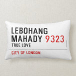 LEBOHANG MAHADY  Pillows (Lumbar)