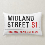 Midland Street  Pillows (Lumbar)
