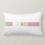 Ms Jackson  Pillows (Lumbar)