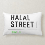 Halal Street  Pillows (Lumbar)