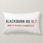 Blackburn Rd  Pillows (Lumbar)