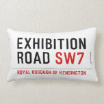 exhibition ROAD  Pillows (Lumbar)